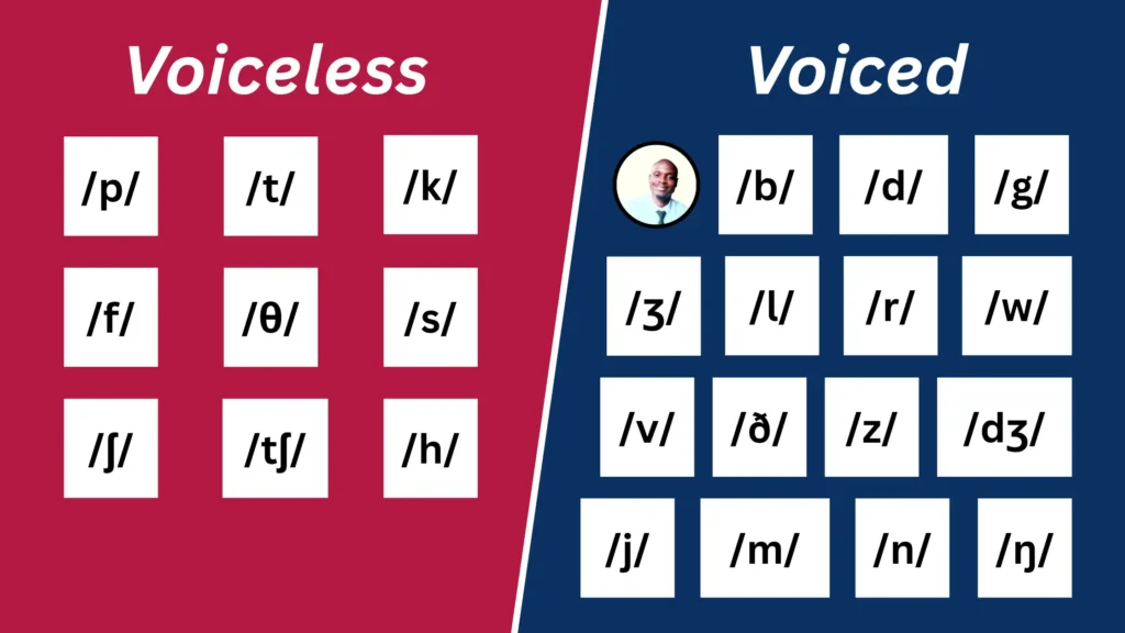 Voiced and voiceless (24) consonant sounds in English 
